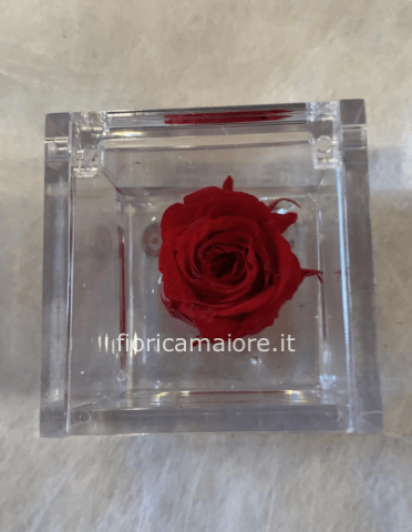 Rosa stabilizzata mini gialla