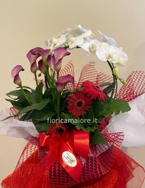 ESEMPIO COMPOSIZIONE