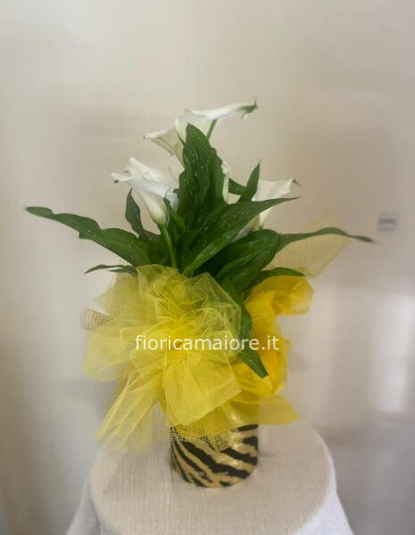 CALLA CONFEZIONATA CON CAPPELLIERA  CON LOGO
