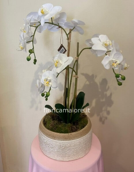 ORCHIDEA PHALAENOPSIS SINTETICA