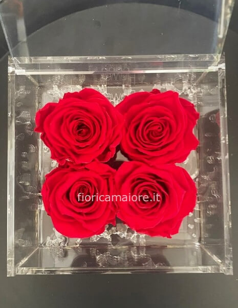COFANETTO 4 ROSE GRANDI STABILIZZATE cm 15x15